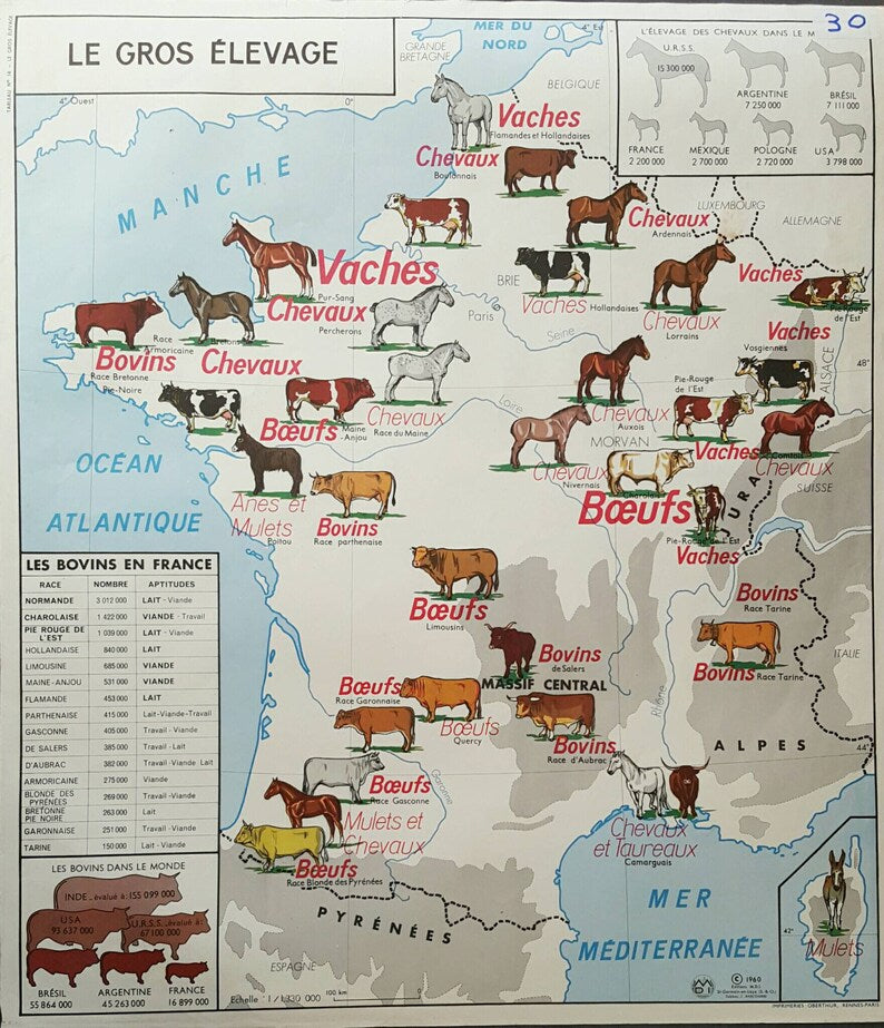 Beautiful Double Sided Vintage School Map of France, Including the Rhone Valley and Lyon