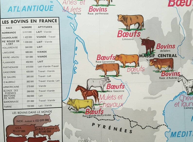 Beautiful Double Sided Vintage School Map of France, Including the Rhone Valley and Lyon