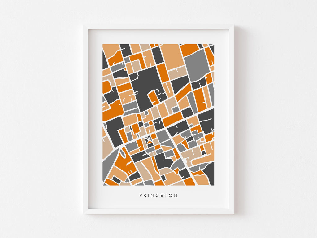 Princeton NJ Map Print - College Wall Art – University Dorm Decor