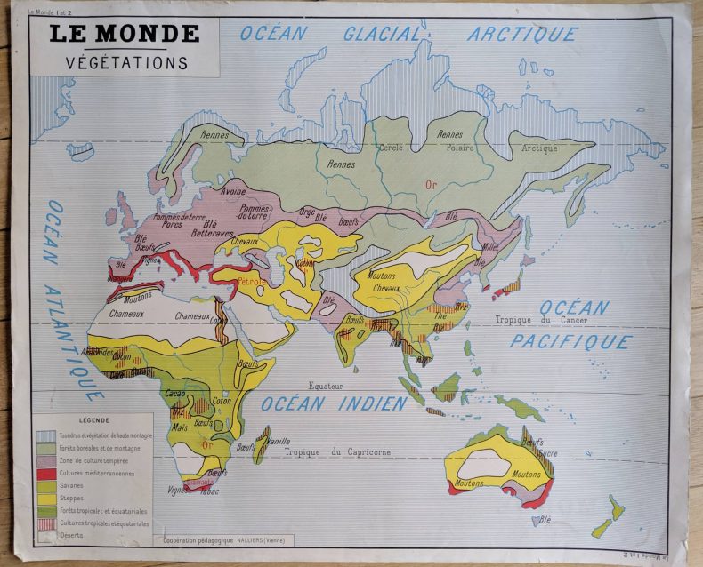 french vintage map of world