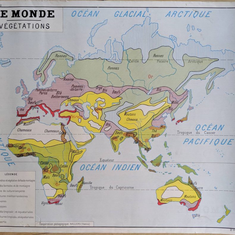 french vintage map of world