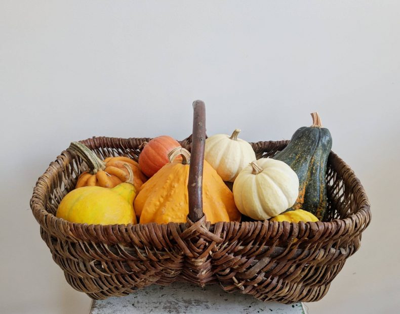 rustic french basket