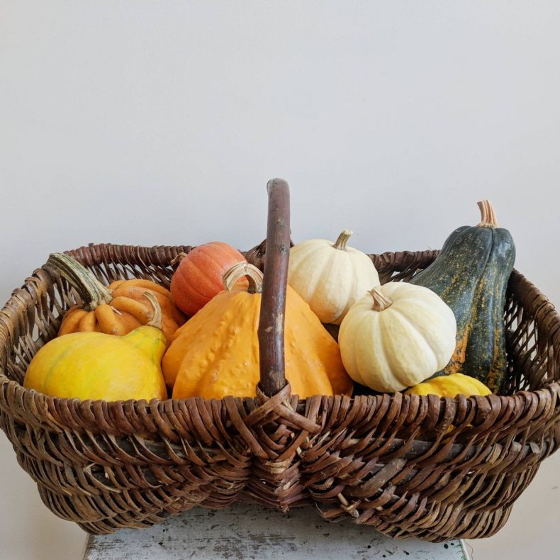 rustic french basket